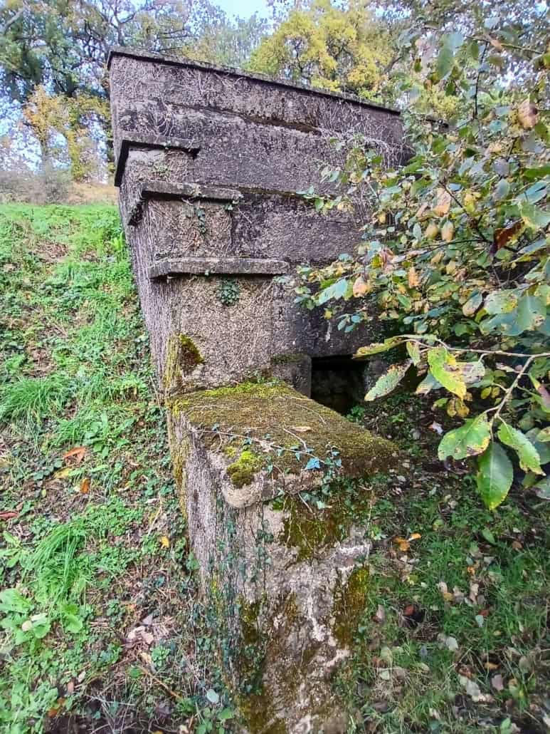 A moss-covered, stepped concrete structure built into a hillside.