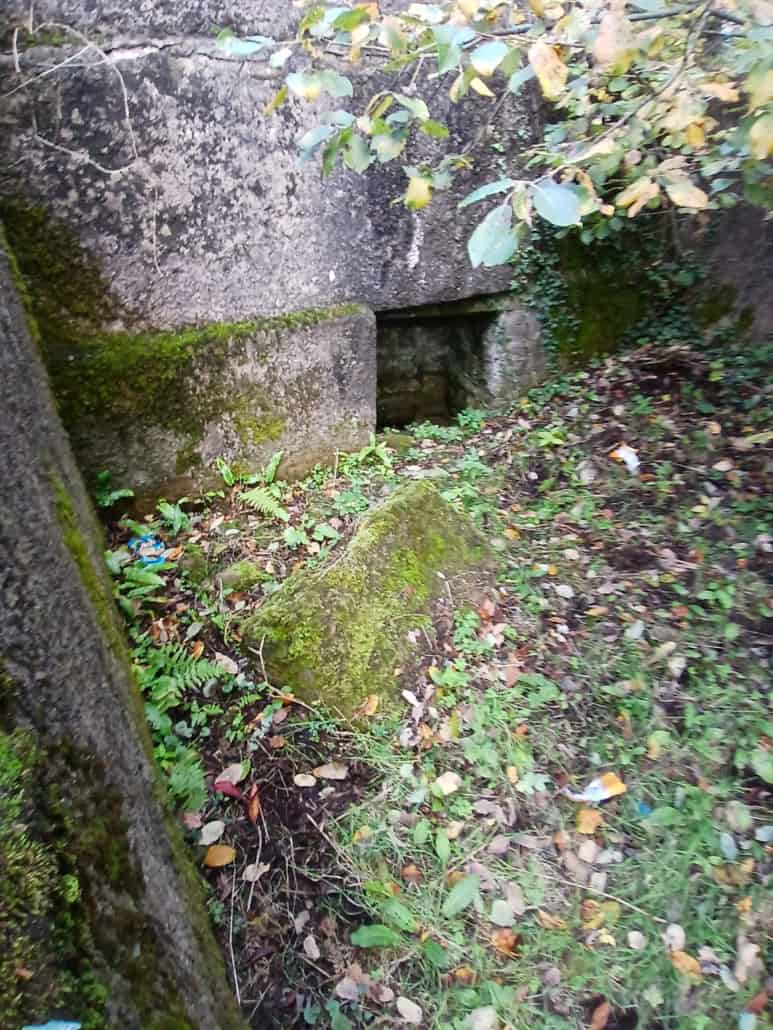 A dark, rectangular opening at the base of a mossy stone wall surrounded by overgrown foliage and scattered leaves.